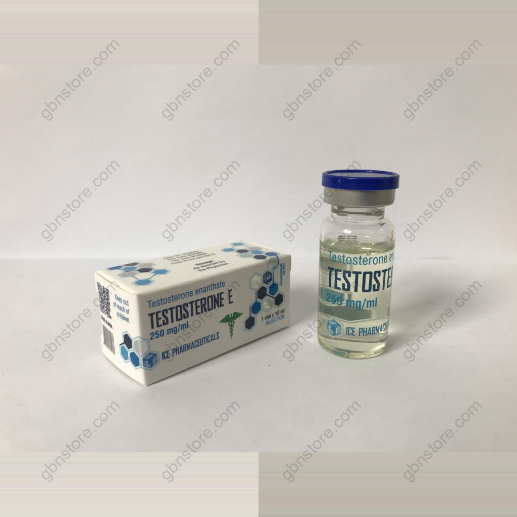 testosterone-e-10ml-63222-b-1.jpeg Testosterone E 10ml - Image 1